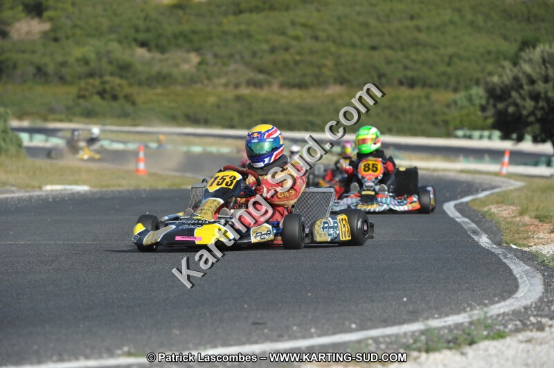 DSC (3996).JPG